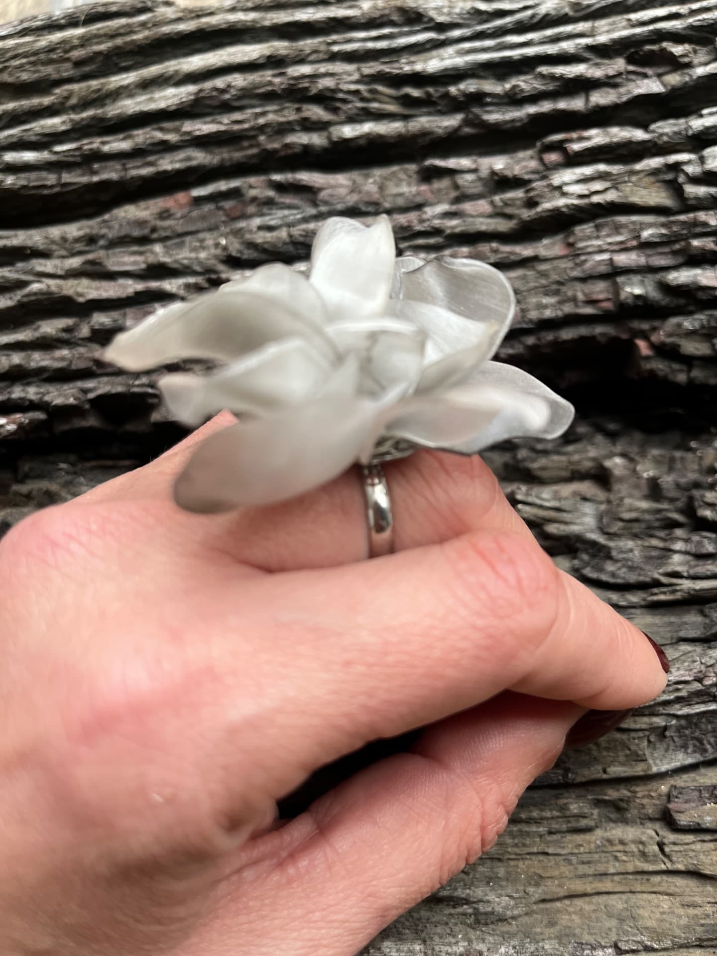Anillos