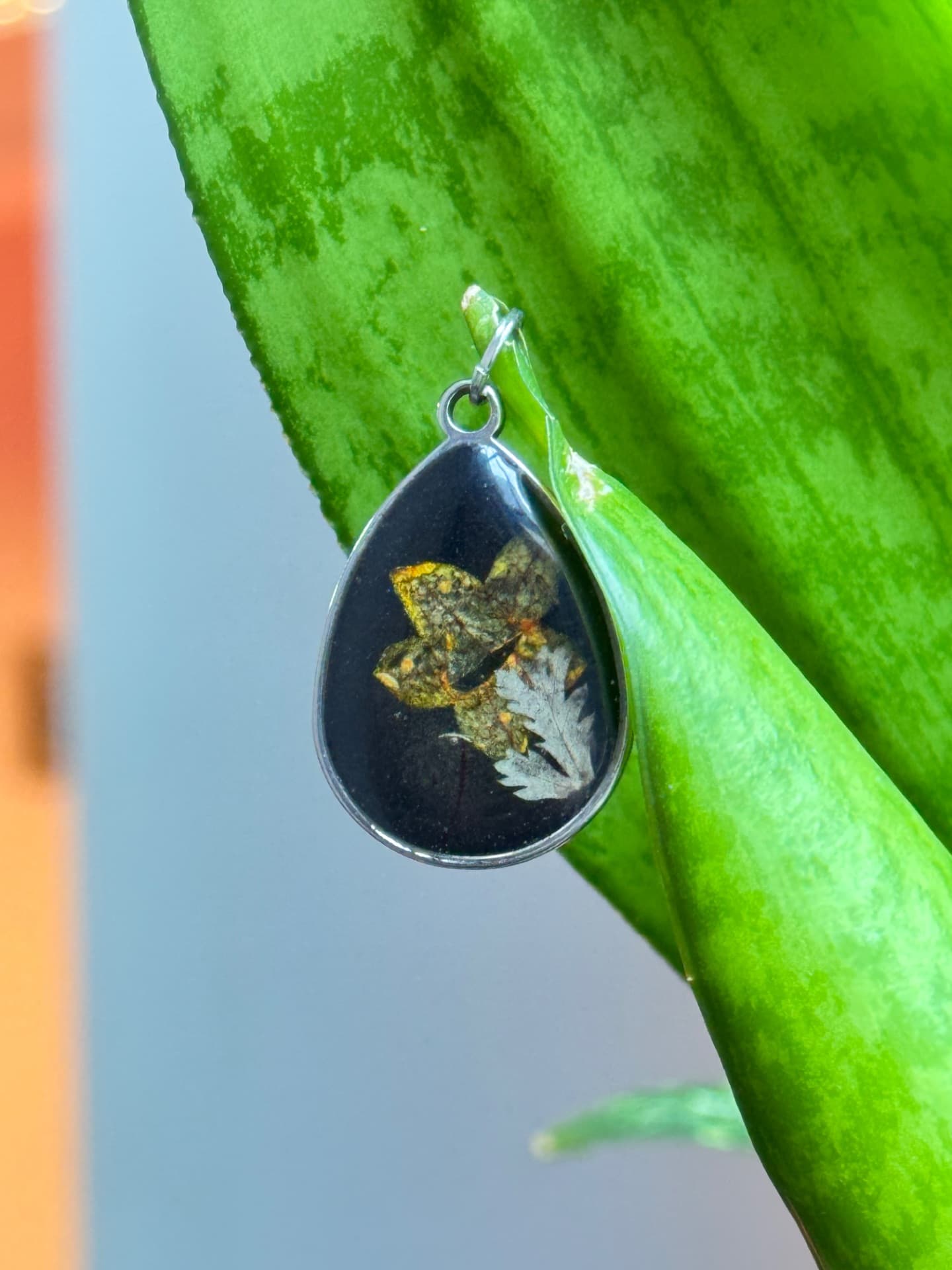 Collar gota