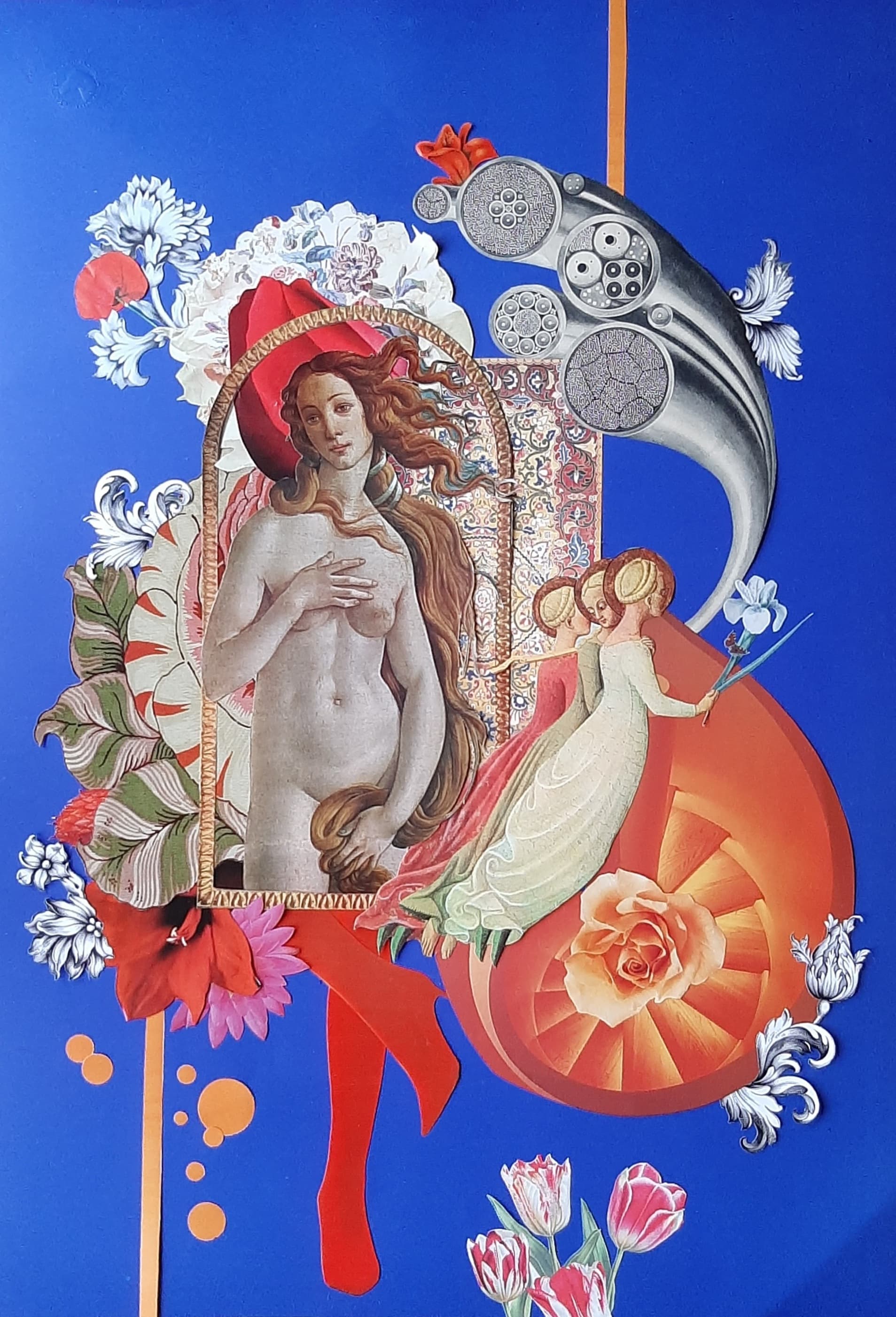 Simonetta de Rojo