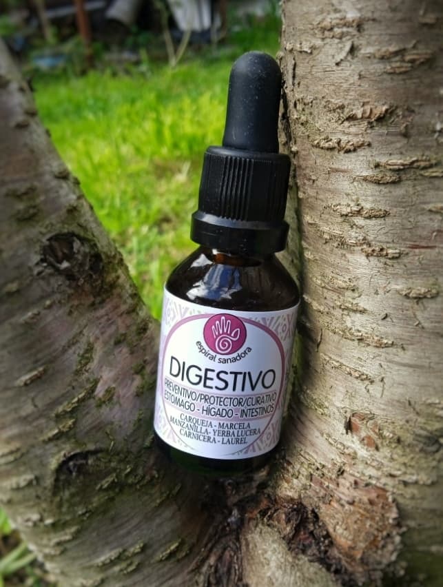 DIGESTIVO (t.m.)