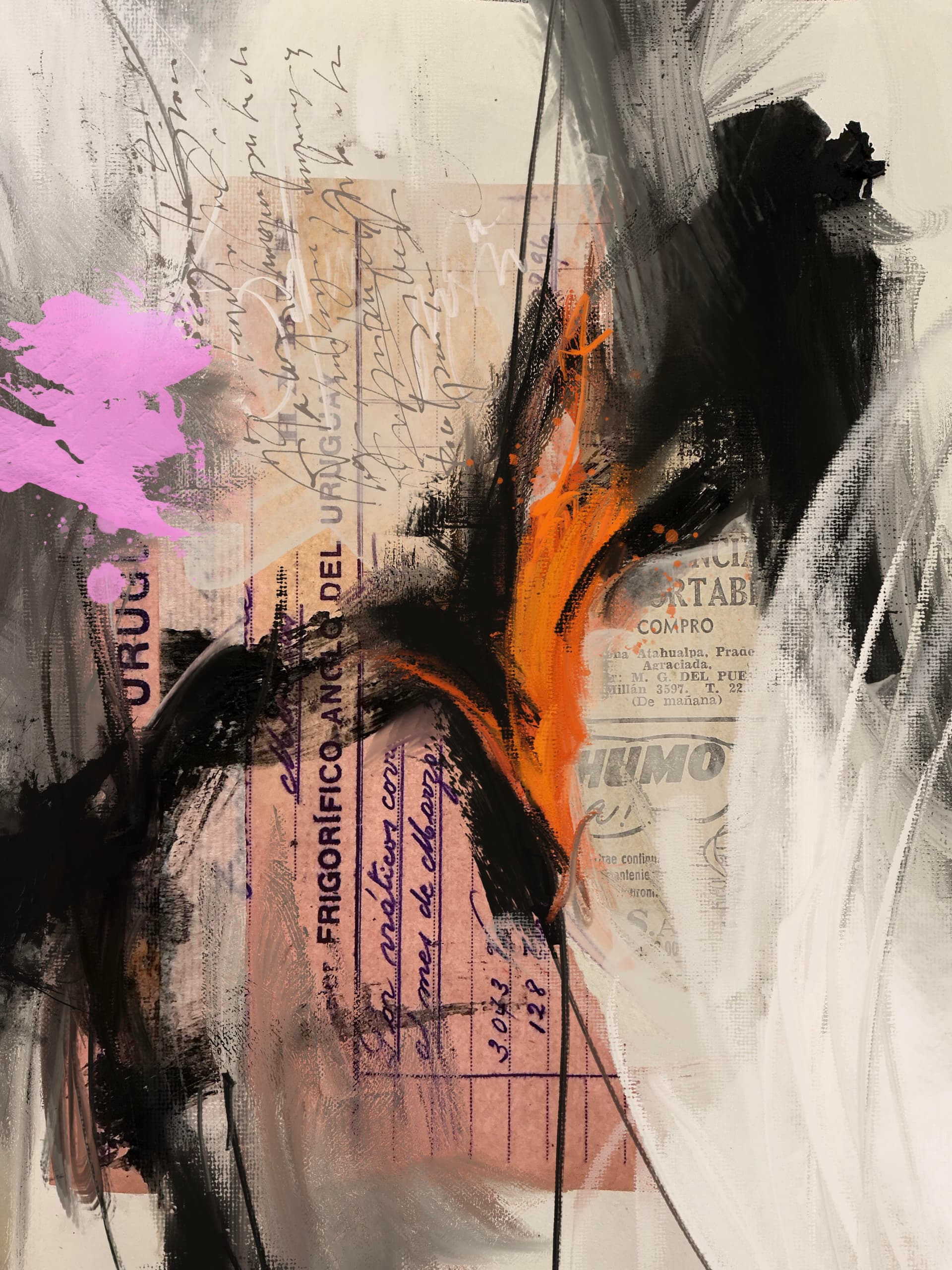Collage fisgital 1