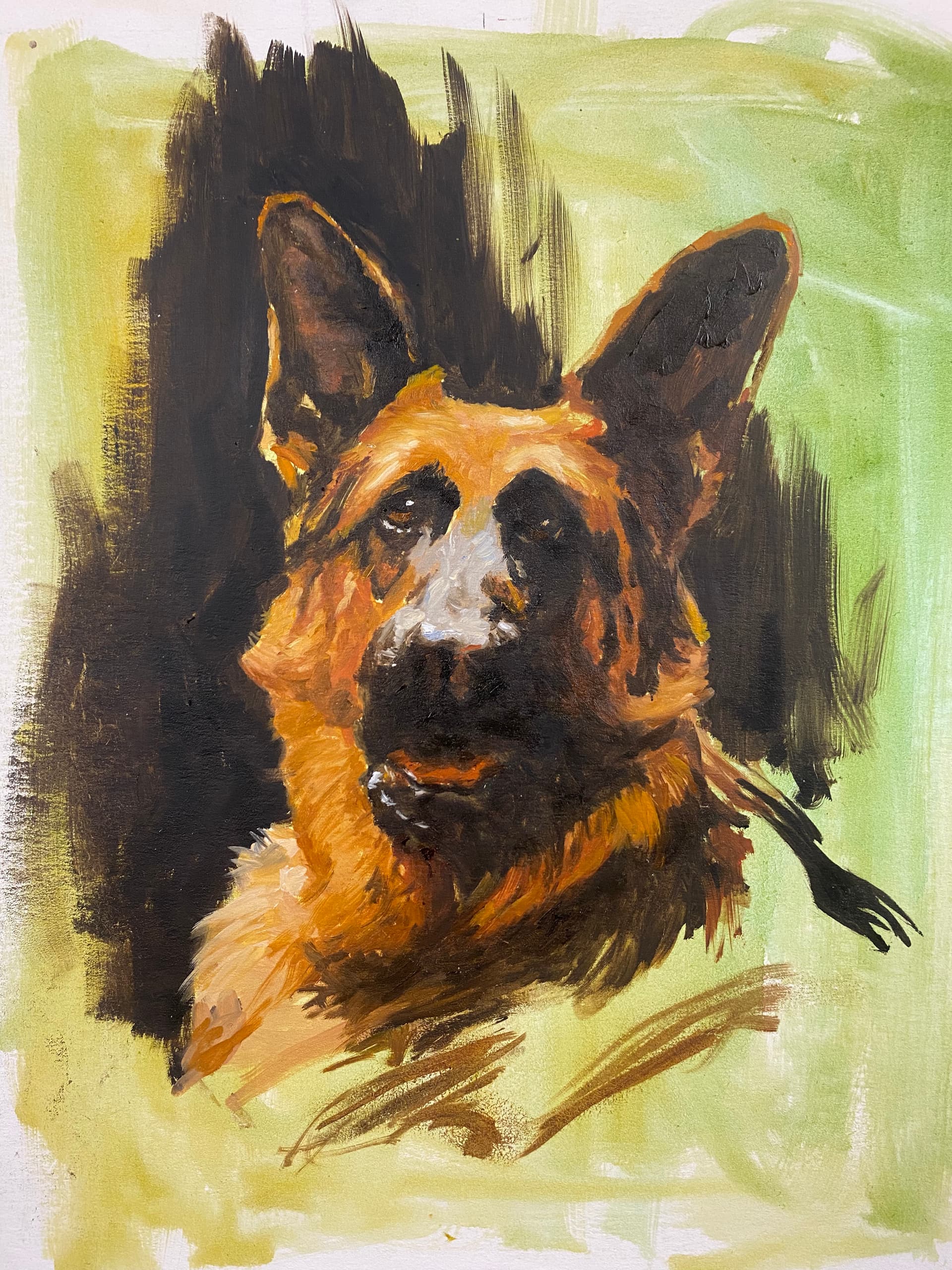 Mascota