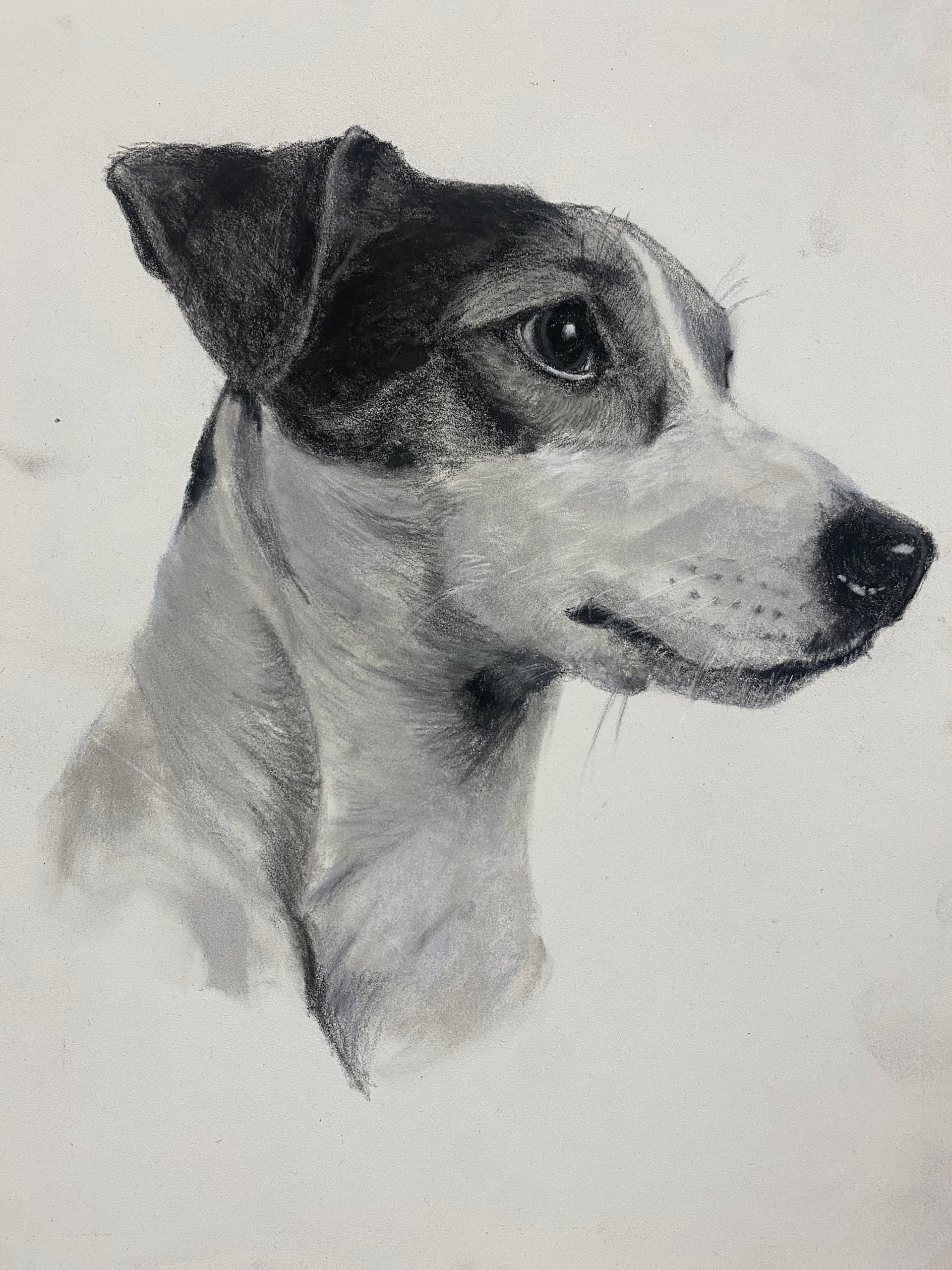 Mascota