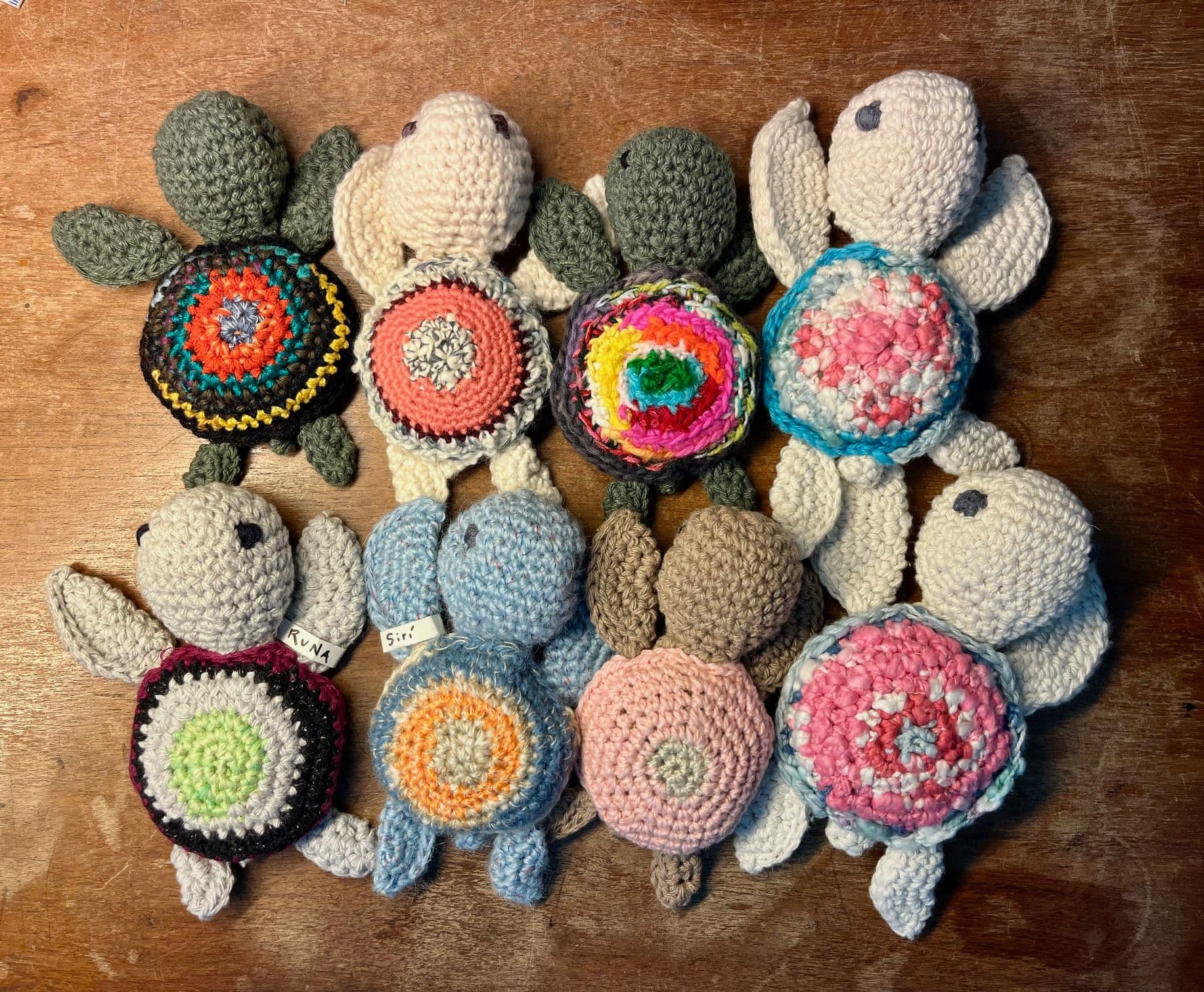 tortuguitas