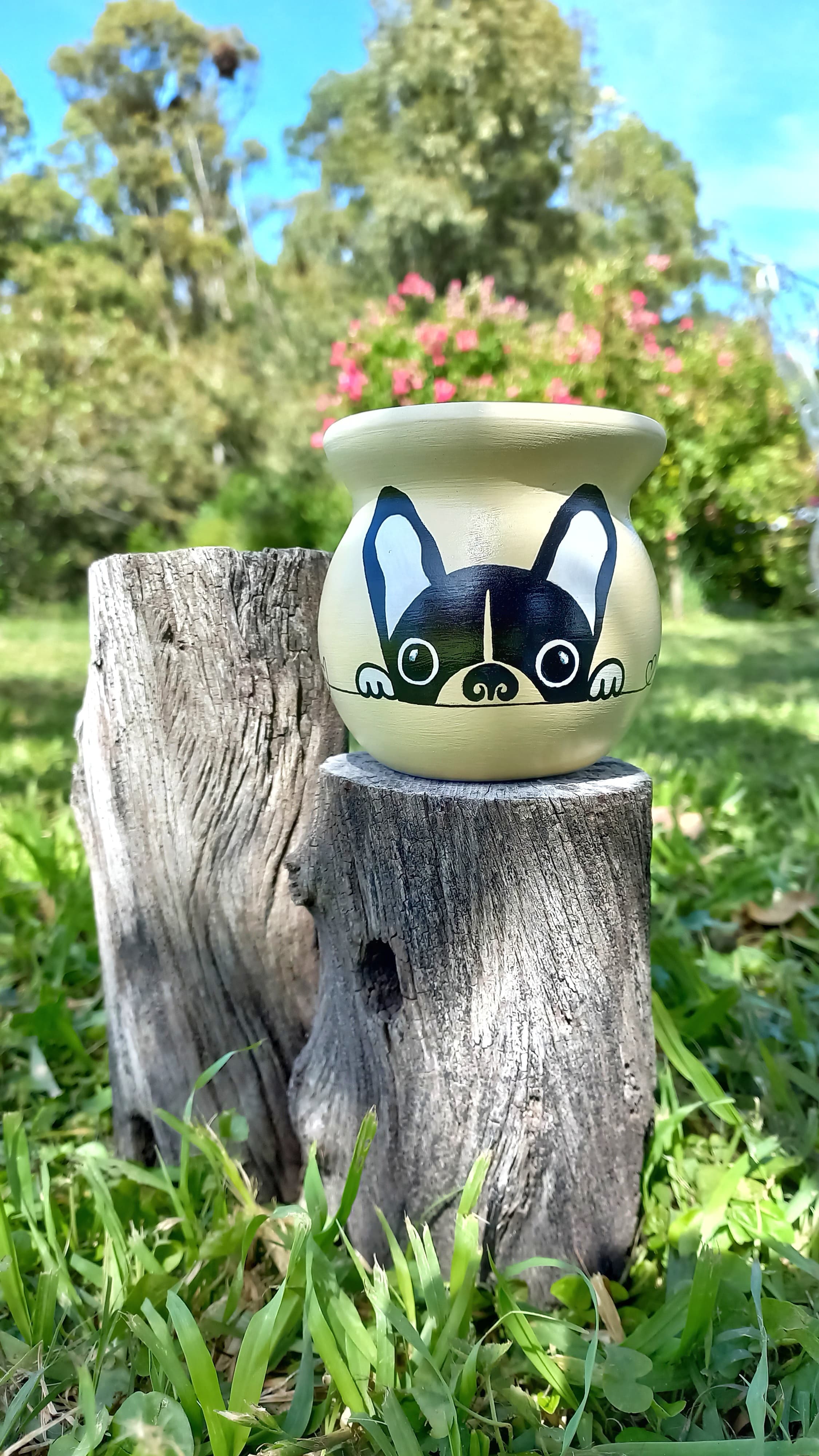 Mate Mascotero 🐱🐕