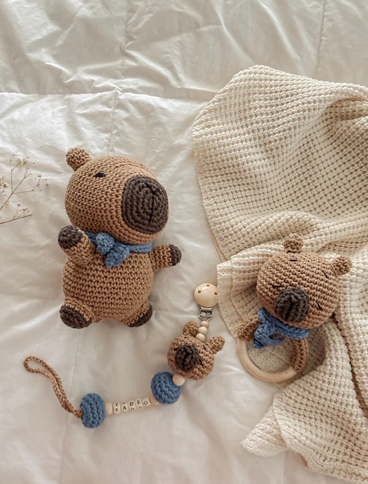 Set Capibara