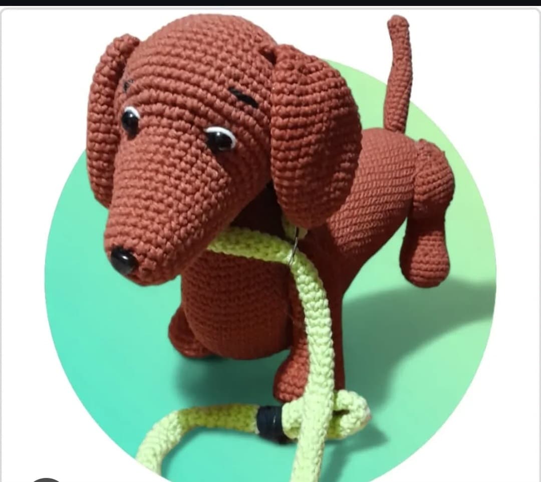 perrito salchicha