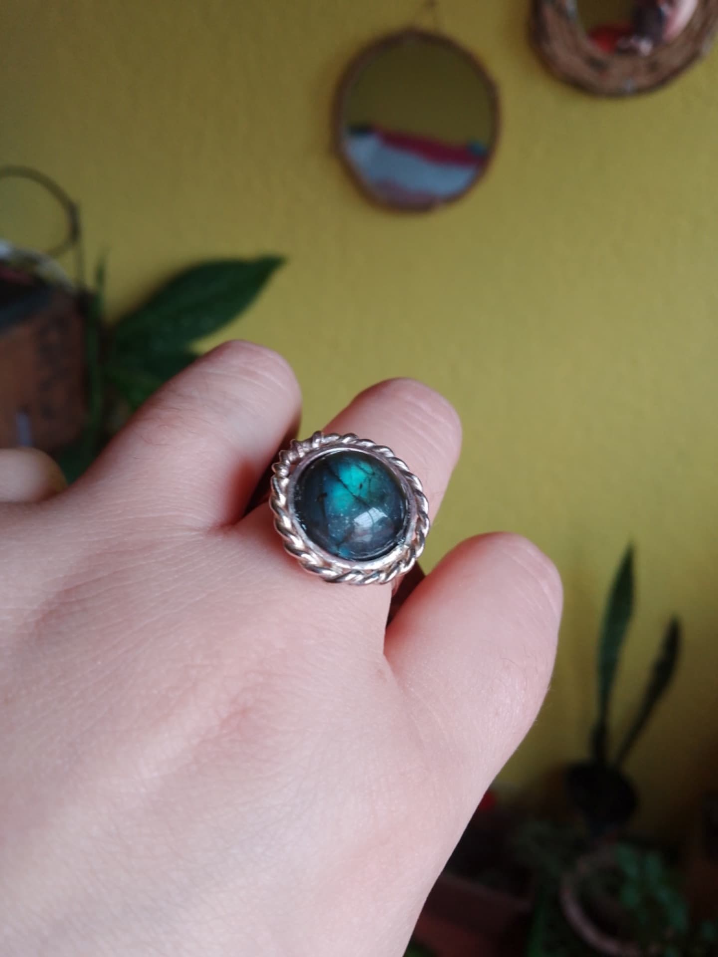 Anillos 💍