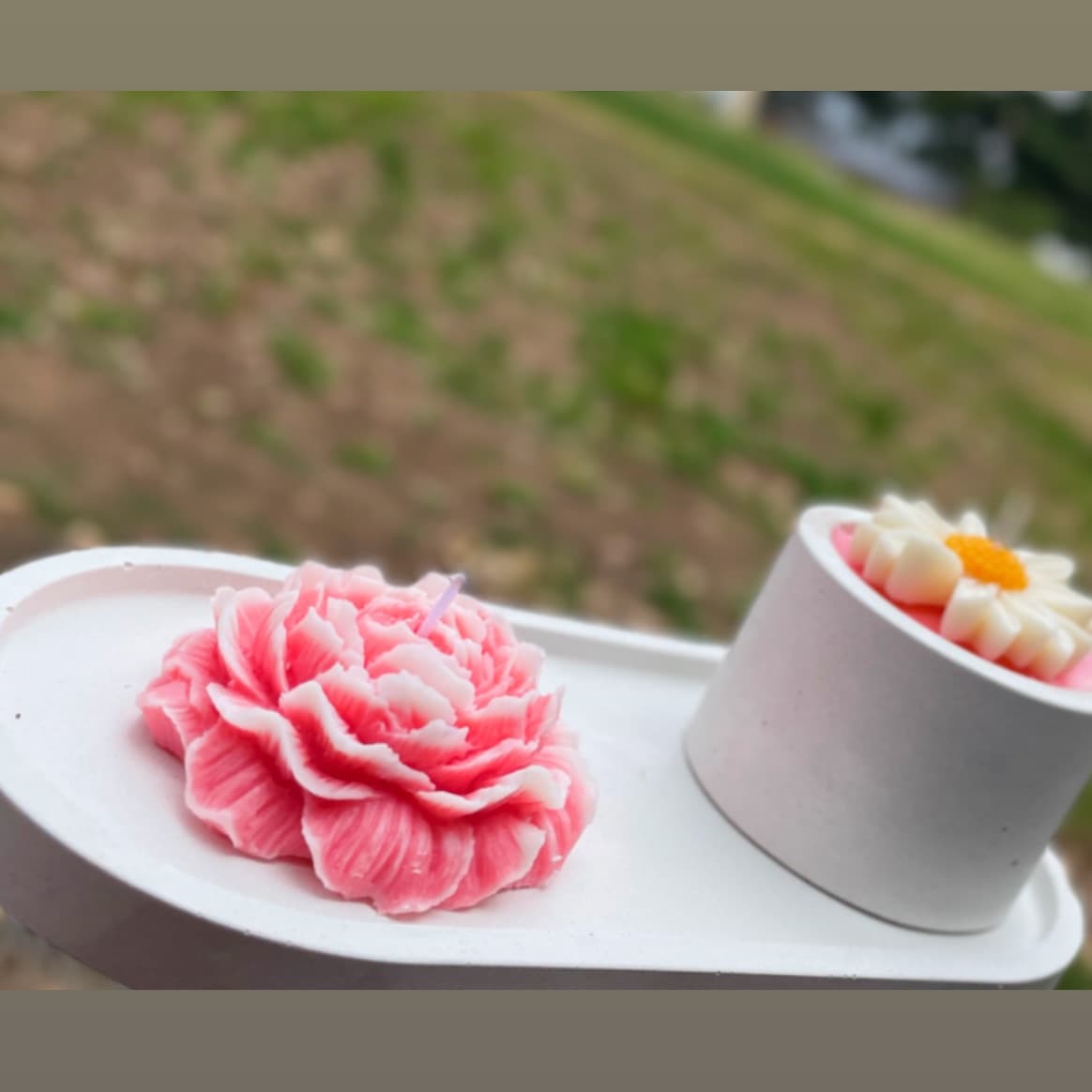 Peonia + margarita