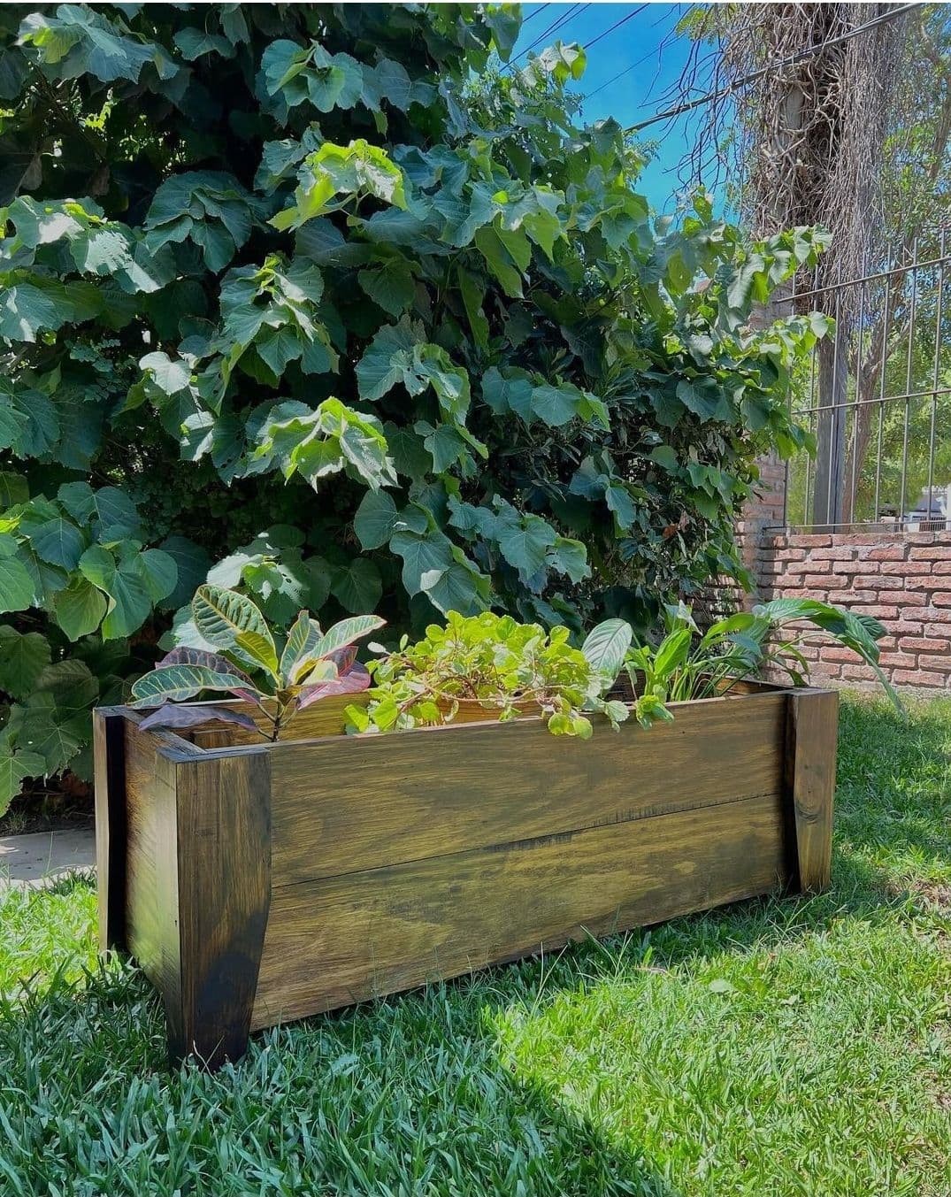 Jardineras