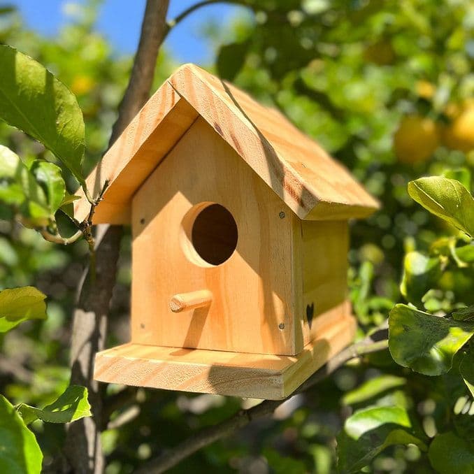 Casa para pajaros