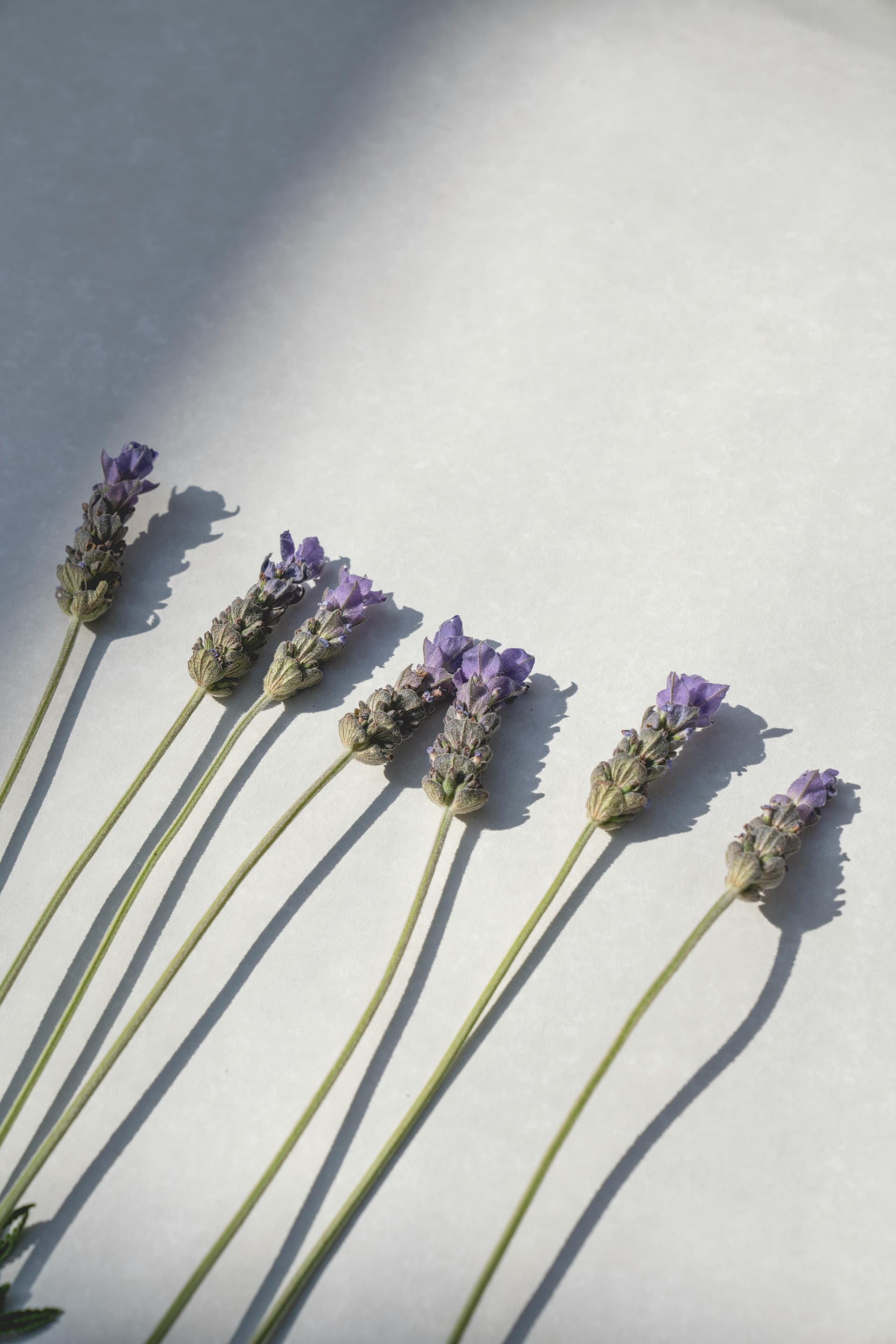 Cura Aromas
