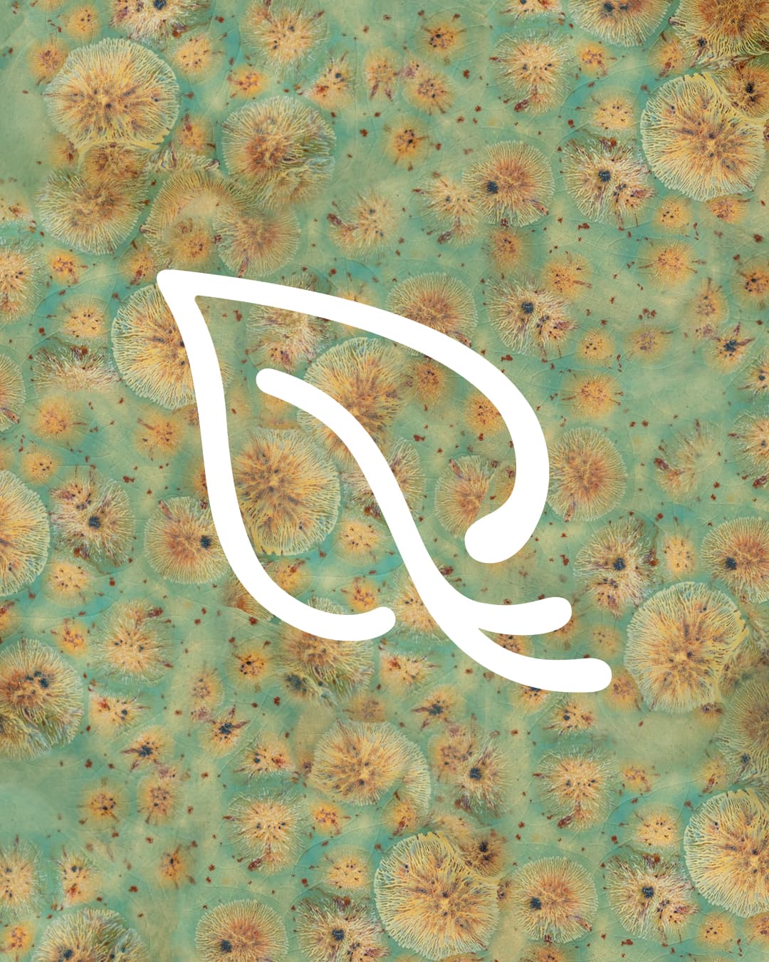 Crear.el.mundo logo
