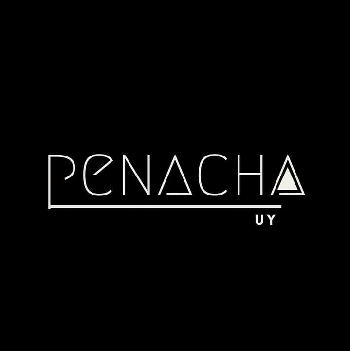 PeNacha.uy logo